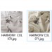 HARMONY 