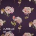 CONTESSE